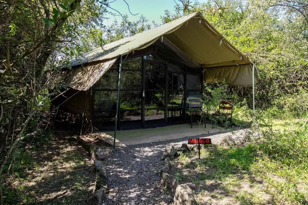 Punda Milias Nakuru Camp